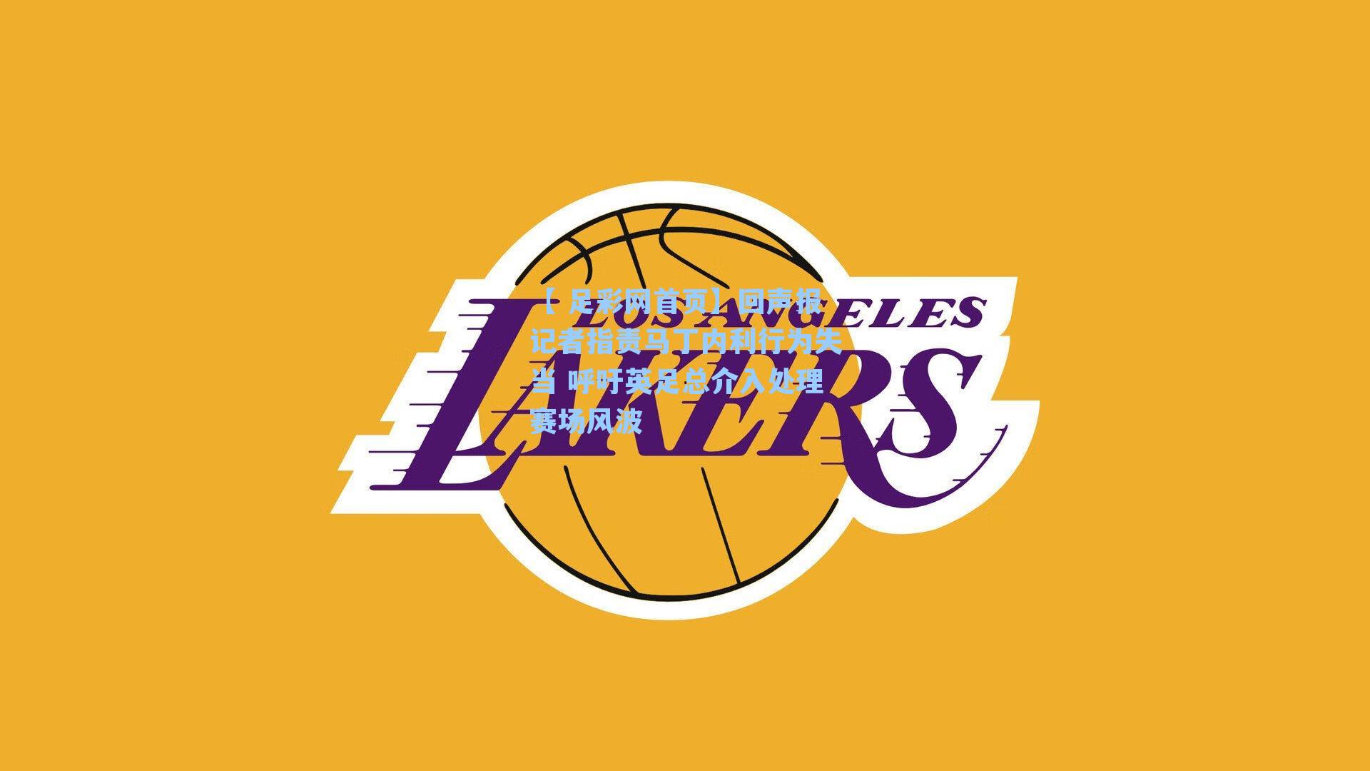 回声报记者指责马丁内利行为失当 呼吁英足总介入处理赛场风波